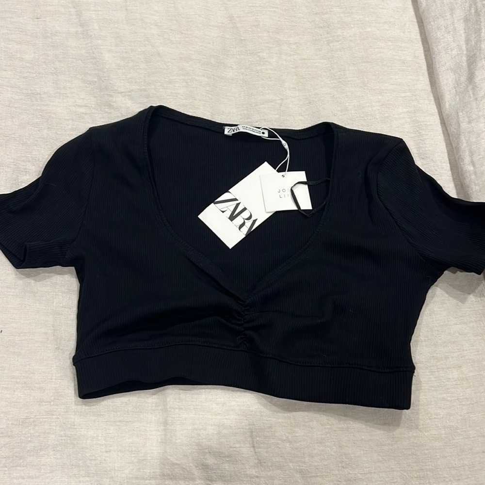 Zara crop top